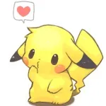 Customer avatar